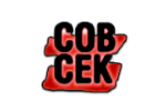 Совершенно секретно